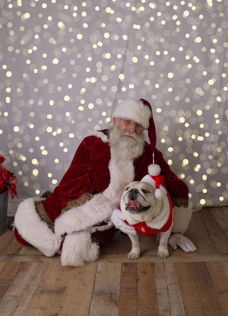 portraits with santa, dogs pictures with santa, santa pictures, dog photographer, santa clause came to town