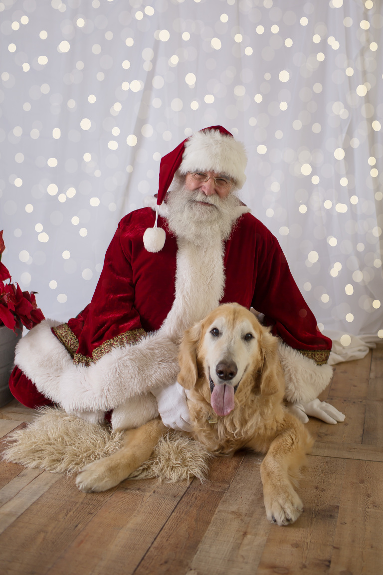 portraits with santa, dogs pictures with santa, santa pictures, dog photographer, santa clause came to town