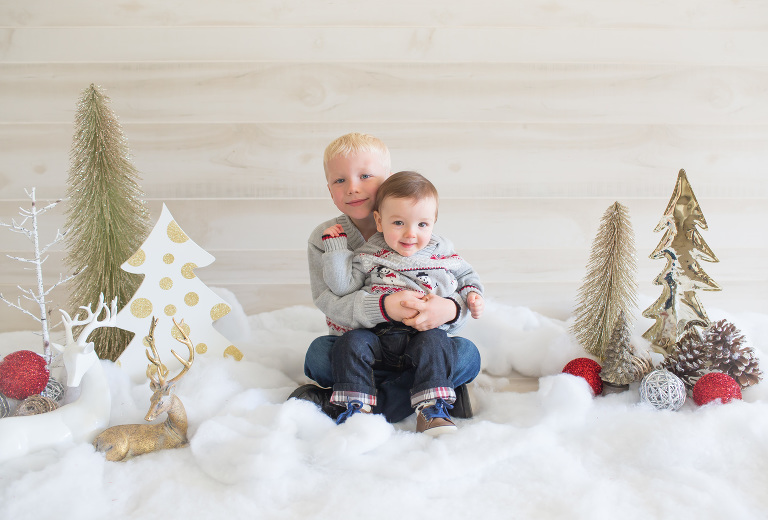 holiday portraits, santa pictures