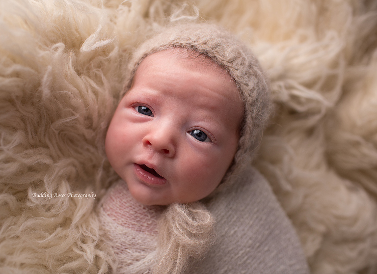 newborn baby boy, flemington nj photographer, flemington new jersey newborn photographer, baby boy photographer