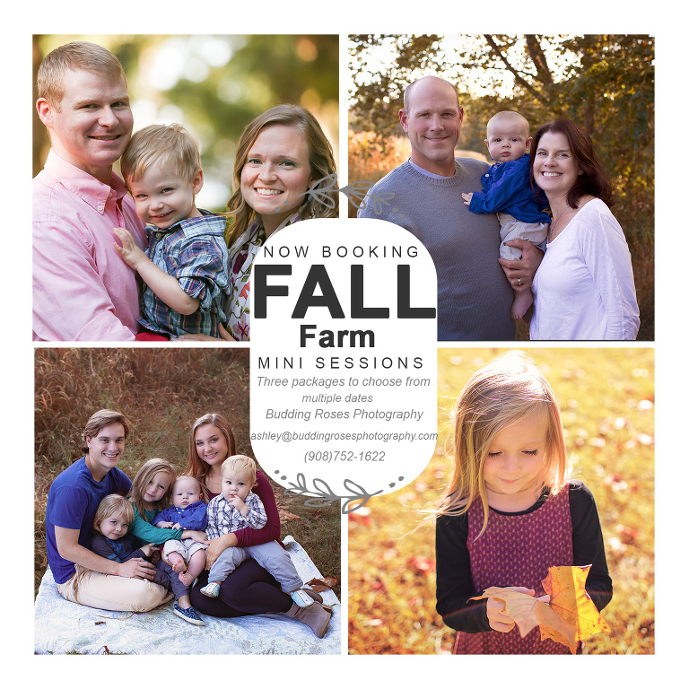 Fall Family Farm Mini Session NJ